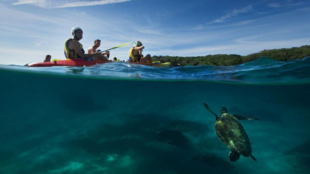 Tropické destinace, kde se můžete naučit potápět 2
