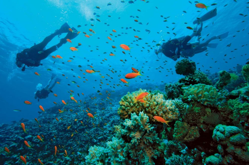 Tropické destinace, kde se můžete naučit potápět 6