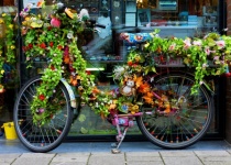 3 denní poznávací zájezd - Amsterdam + květinový park Keukenhof již od 1 590 Kč