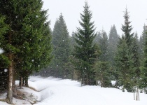 4 - 5 denní vánoční dovolená v Josefově Dole v Jizerských horách již od 1 290 Kč