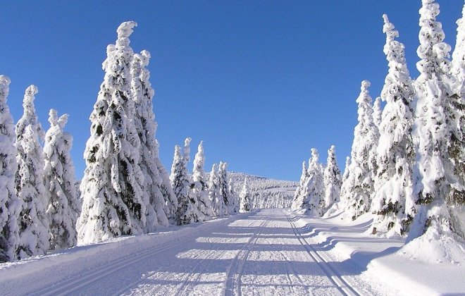 krkonoše.jpg
