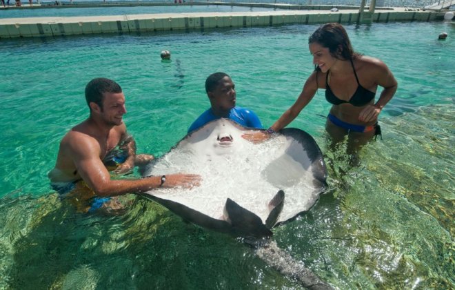 Punta-Cana.jpg