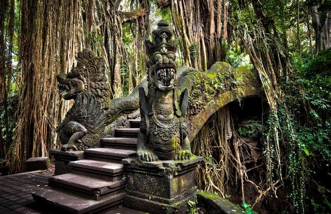 bali (11)650x450.jpg