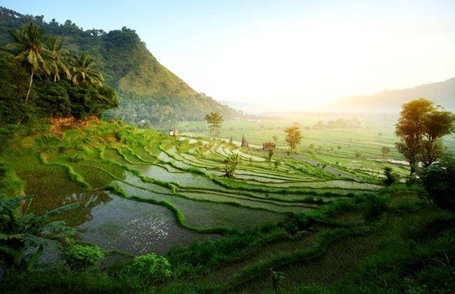 shutterstock_73699444-650x450.jpg
