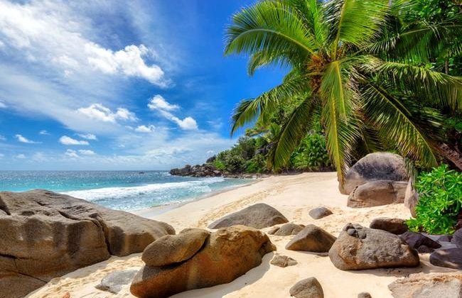 seychelly (2)650x450.jpg