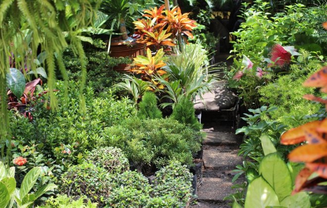 philippine-garden.jpg