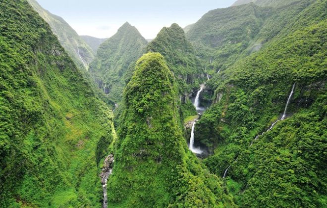 réunion.jpg