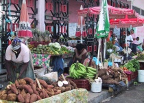 Guadeloupe: levné letenky - Pointe a Pitre s odletem z Paříže již od 8 037 Kč