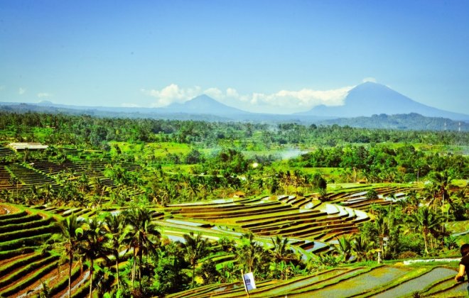 bali.jpeg