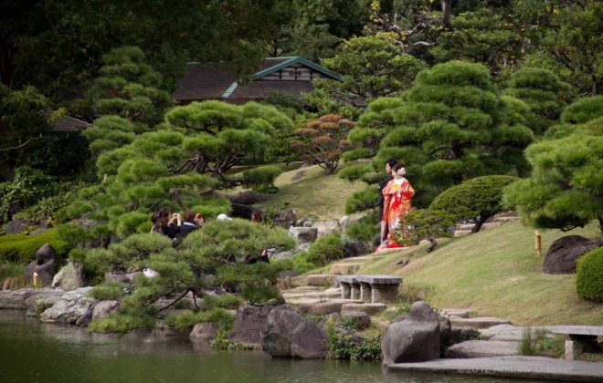 tokio foto.jpg