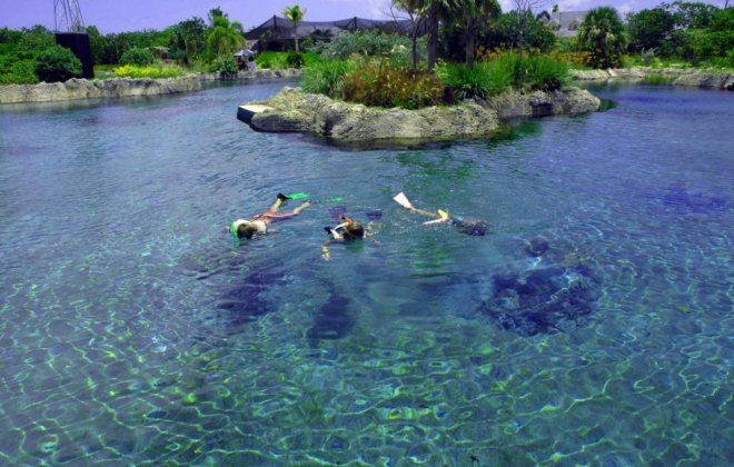 cayman island.jpg