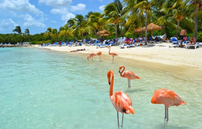 Aruba-.jpg