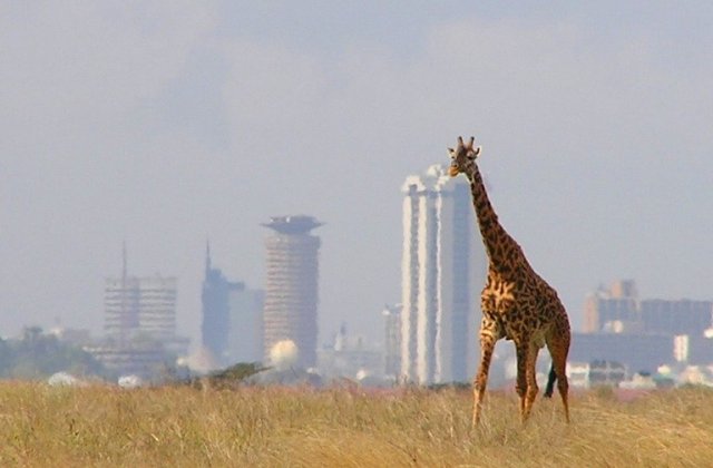 Nairobi_-_Park.jpg
