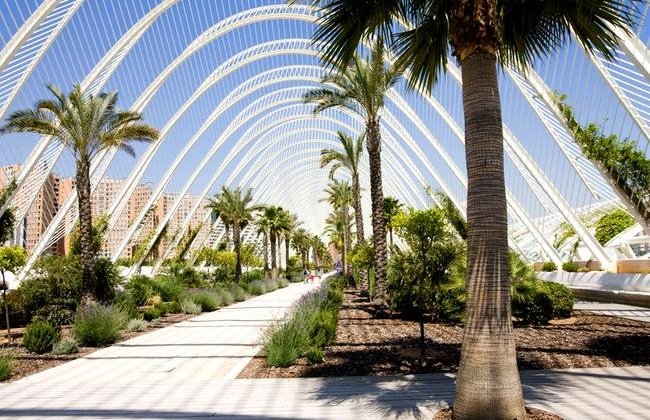 valencia (36)650x450.jpg
