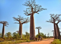 Madagaskar: levné letenky - Tananarive (Antananarivo) s odletem z Milána již od 11 755 Kč