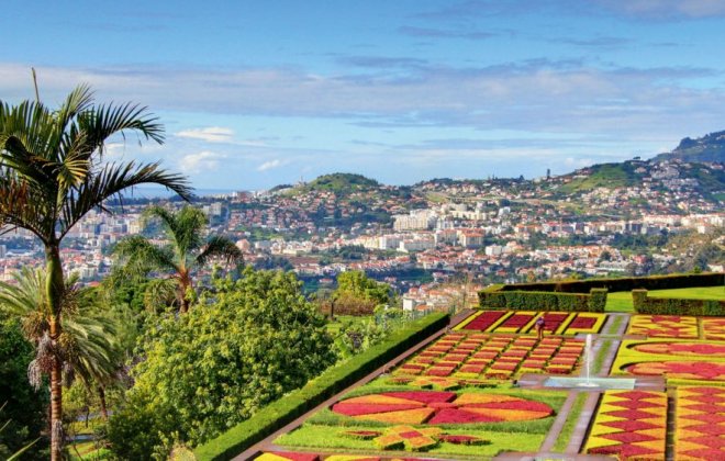 madeira.jpg