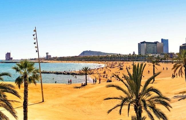 barcelona-panorama650x450.jpg
