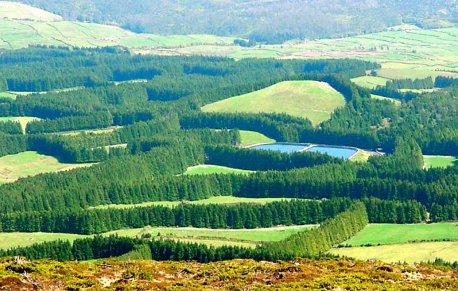 terceira.jpg