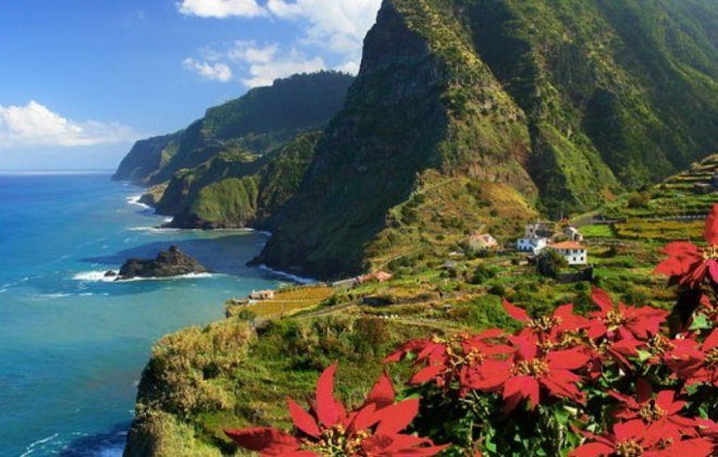 madeira.jpg