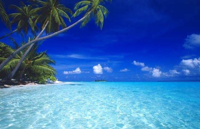 maldivy-02650x450.jpg