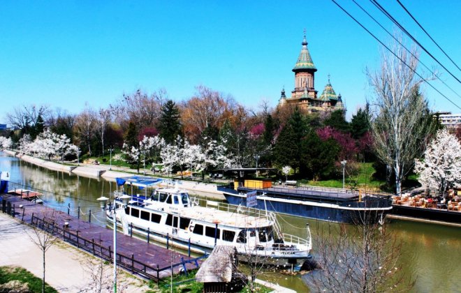 Timisoara.JPG
