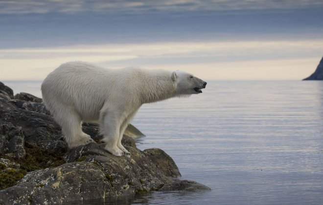 Longyearbyen.jpg