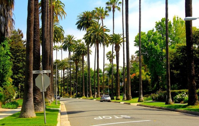 LA.jpg