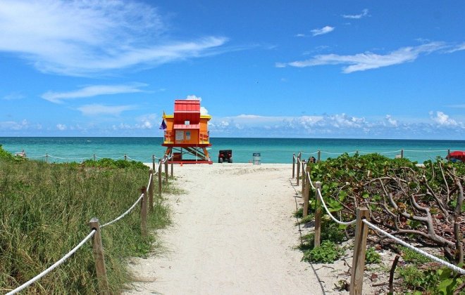 miami.jpg