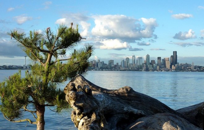 seattle.jpg