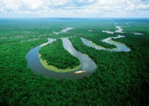 Amazonský prales a fakta