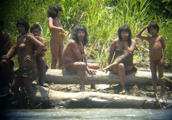 Amazonský prales a fakta