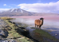 Vnitrozemská Bolívie 