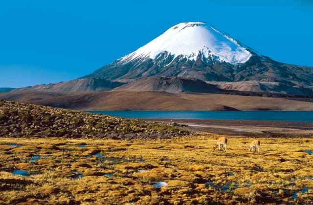 parque-nacional-lauca.jpg