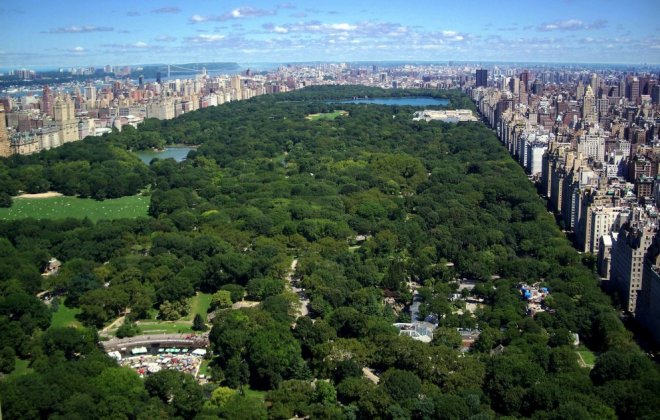 central park.jpg