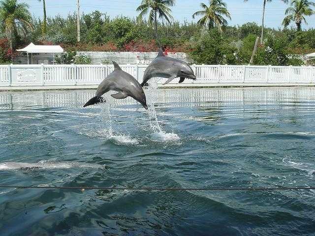 Ráj na Florida Keys
