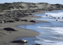 Užijte si americkou divočinu v 6 národních parcích