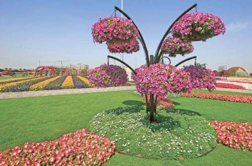Dubajská zázračná zahrada
