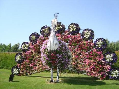 Dubajská zázračná zahrada