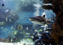 Navštivte tropický raj v Budapešti