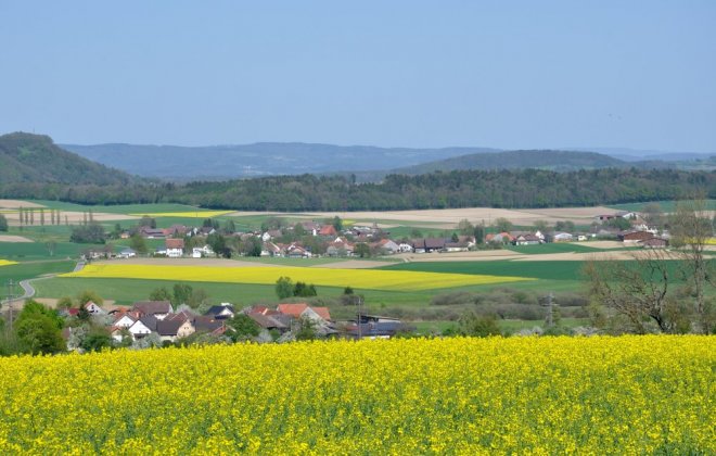 baden baden.jpg
