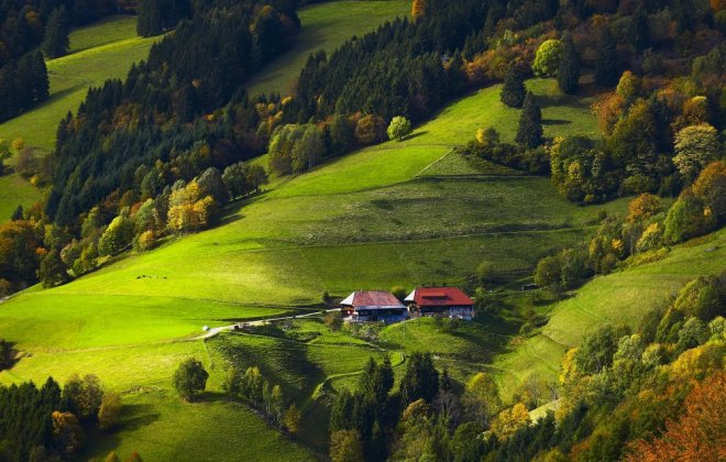 Schwarzwald-.jpg