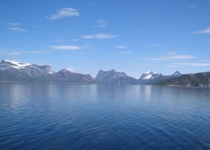 Fjordy