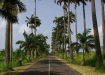 Dovolená na Guadeloupe