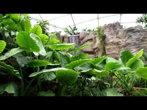 Bootsfahrt Gondwanaland Zoo Leipzig