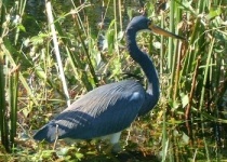 Nejkrásnější národní parky  