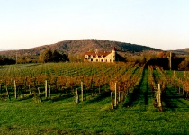 Což takhle cesta po nejlepších vinicích světa?