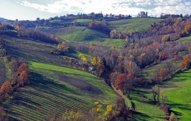 langhirano.jpg