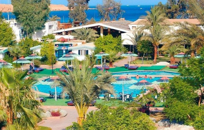 egypt - ghazala.jpg