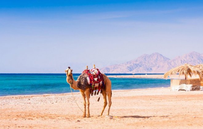 hurghada.jpg
