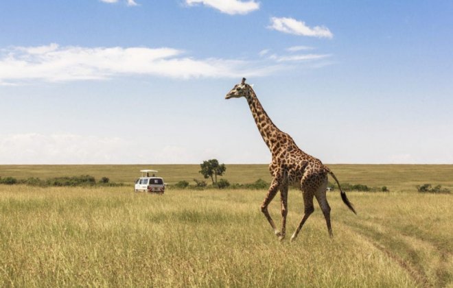 nairobi.jpg